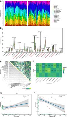 Construction and evaluation of endometriosis diagnostic prediction model and immune infiltration based on efferocytosis-related genes